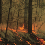 image_402M0JJ2BN.png
