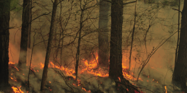 image_402M0JJ2BN.png